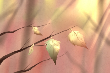 出行禁忌:出行遊玩遇見紅白喜事怎麼辦