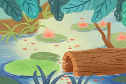 風水解說:水晶類的擺件是如何影響你的生活