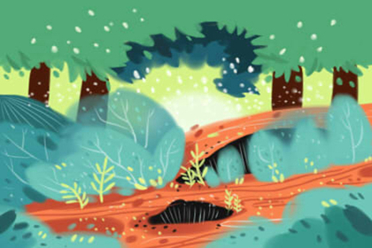 風水學兩大派之一:理氣派風水名著