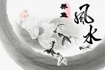 魚缸的水流方向風水好要放哪個方向