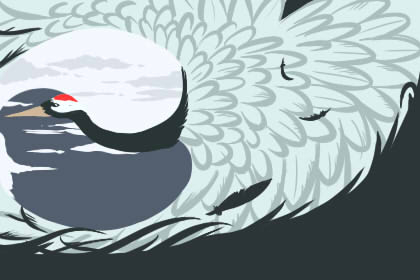 張盛舒:你正在為錯誤而瞎努力嗎?