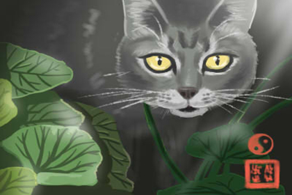 床怎麼擺放方向風水好 床擺放禁忌