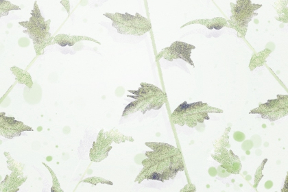 玄關的天花板有什麼風水要求