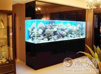 魚缸風水:客廳的魚缸旺宅