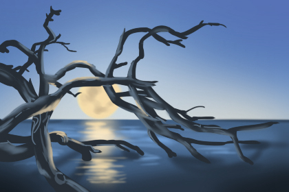 什麼是八尺神照鏡?家居風水擺件