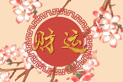 為什麼有的人不帶財運  財位上擺假花
