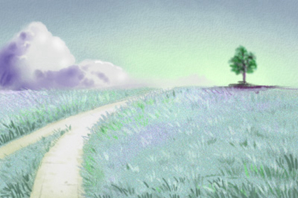 屬蛇的人辦公室養什麼花最旺財