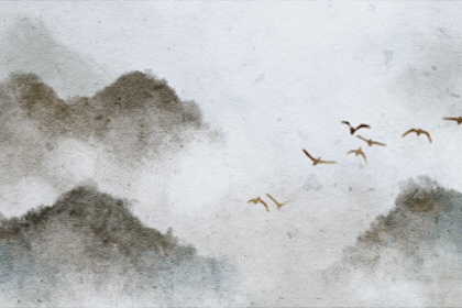風水中什麼樹旺財運  招財樹可強旺家宅財運