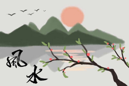 客廳適合擺放什麼乾花比較好 哪些是最值得推薦的呢