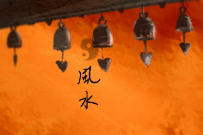 在家裡放乾花是不是不好 乾花不能放家裡嗎風水