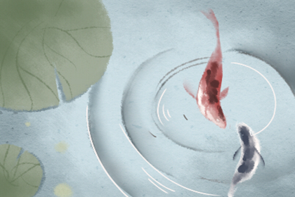 魚突然死了預示擋災嗎 養的魚死了怎麼處理