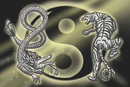 仙人掌放在哪裡招財