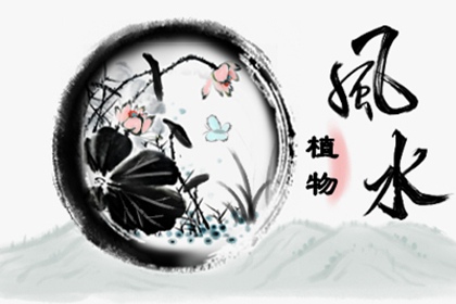 客廳擺放什麼植物最好 美化環境又增強財運