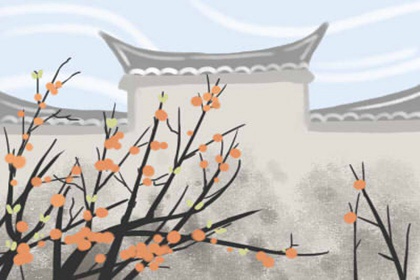 卧室放什麼有助於事業