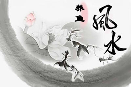 如何知道家裡風水好不好 根據什麼來判斷