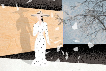 屬兔的人辦公室養什麼花最旺財