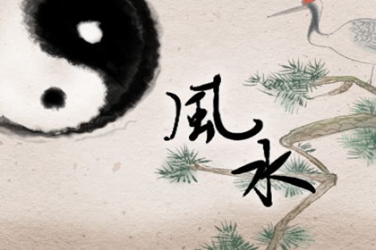 客廳適合放什麼乾花 特別招財