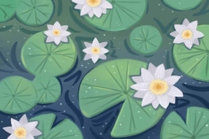 中國民俗專門旺財吉祥物