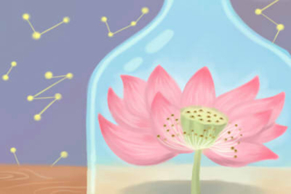 家中什麼風水發財 快速發財風水