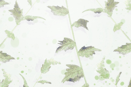命犯咸池桃花什麼意思