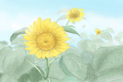 家中花瓶什麼形狀助去霉運