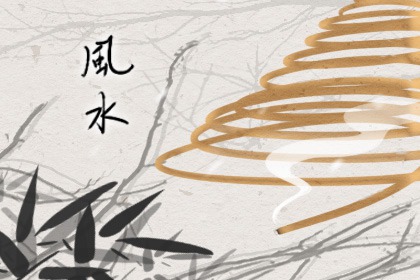 家中陞官風水擺件  步步高植物
