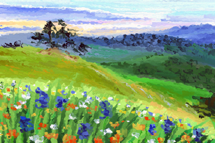 揭秘:能給家中帶來好風水的植物