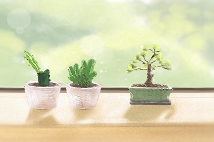 家裡擺放什麼花辟邪鎮宅招財好 家裡放什麼花辟邪