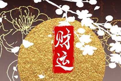 在家居風水中,這些植物非常招財!金錢兜護宅吉祥