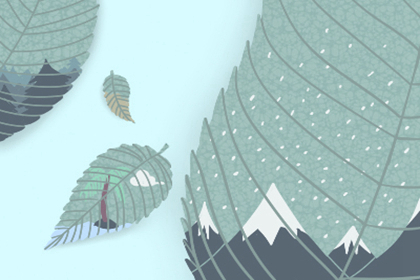 最適合擺放的綠色室內植物