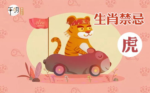 屬虎人佩戴金豬好嗎,屬虎的人能帶黃金玉佛嗎