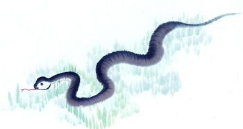 屬蛇人戴金好或戴玉石鏈好,金曜石項鏈和手鏈有什麼不同的講究嗎