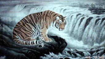 86屬虎的人是火命還是土命,86年是什麼命