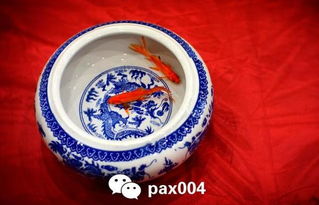 坎卦屬水離卦屬火,五行數理的先天八卦