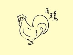 屬雞的人五行生肖是屬金嗎,生肖屬雞的五行是什麼