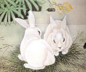 農歷六月屬兔的適合戴金嗎,屬兔的人戴玉還是戴金?