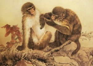 人生金八子屬猴的人命運,屬猴人的命運如何