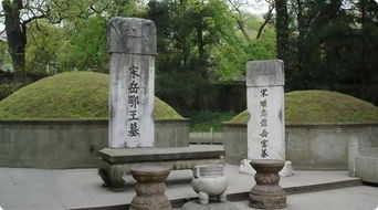 屬木的人的墳墓能朝哪個方向,木命人墓地應座何方向何方
