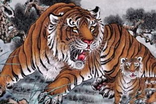 屬虎火命女人適合紋什麼,屬虎爐中火命紋個什麼好