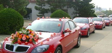 五行屬金買了紅色車怎麼辦,車是紅色與主人五行不符,怎麼辦?