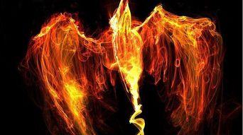 鹿姓屬火還是金火,金火屬性的名字