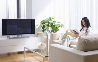 五行屬木的人風水布局,風水布局是如何旺財催財的