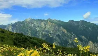 炎陵金紫峰山屬什麼山脈,湖北五峰與湖南交界為什麼山脈