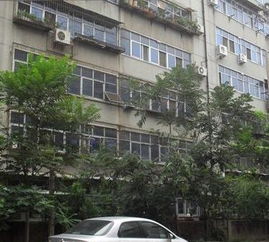 鄭州自來水家屬院屬哪個社區,鄭州金水區有哪些社區?