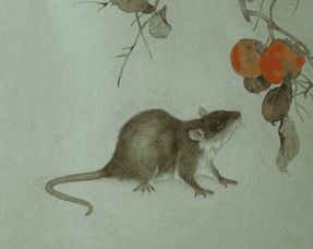 屬鼠男戴金好還是戴玉好,屬火命人應戴銀還是戴金好?