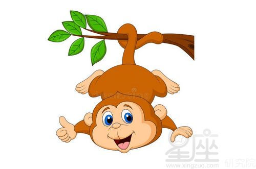 92屬猴的是什麼命五行,1992年出生的五行屬什麼