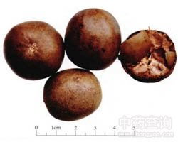 羅漢果五行屬金嗎,羅漢果屬性是溫的還是涼?