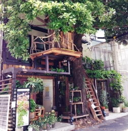 屬牛的海中金命住幾層樓最好,屬牛,住幾樓好