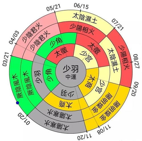五行屬金的人養什麼好,金命養什麼最好