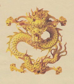 男人屬龍缺金戴什麼耳釘,五行缺金戴什麼飾品